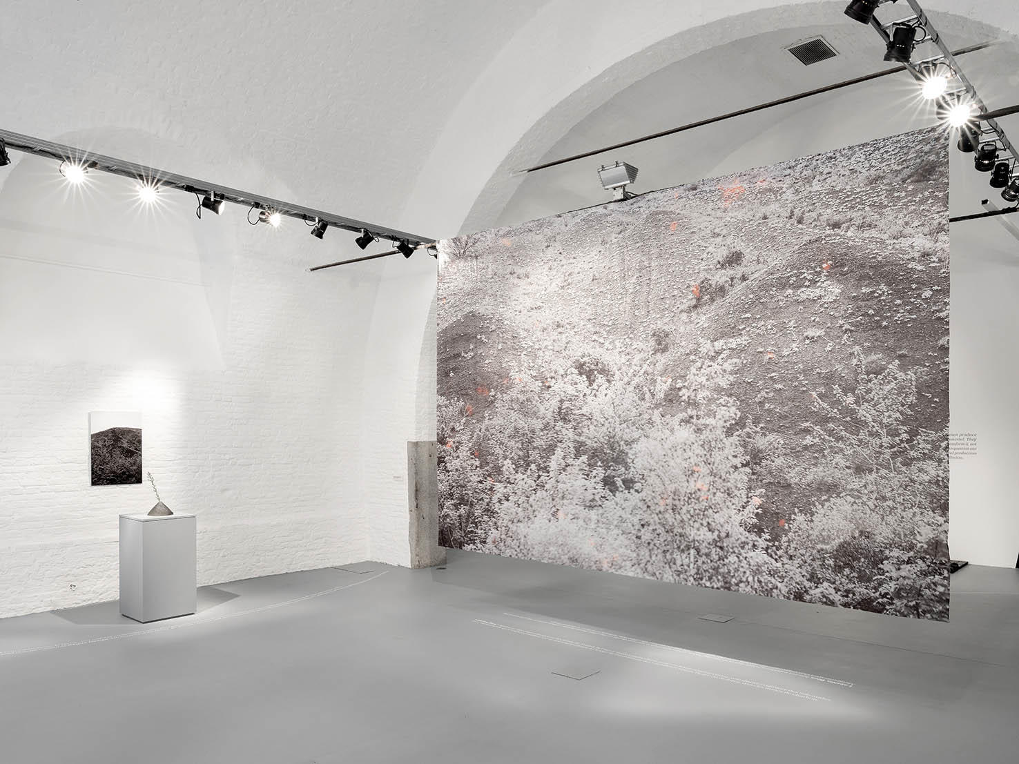 <span class='credits'>© Caroline Dethier</span>