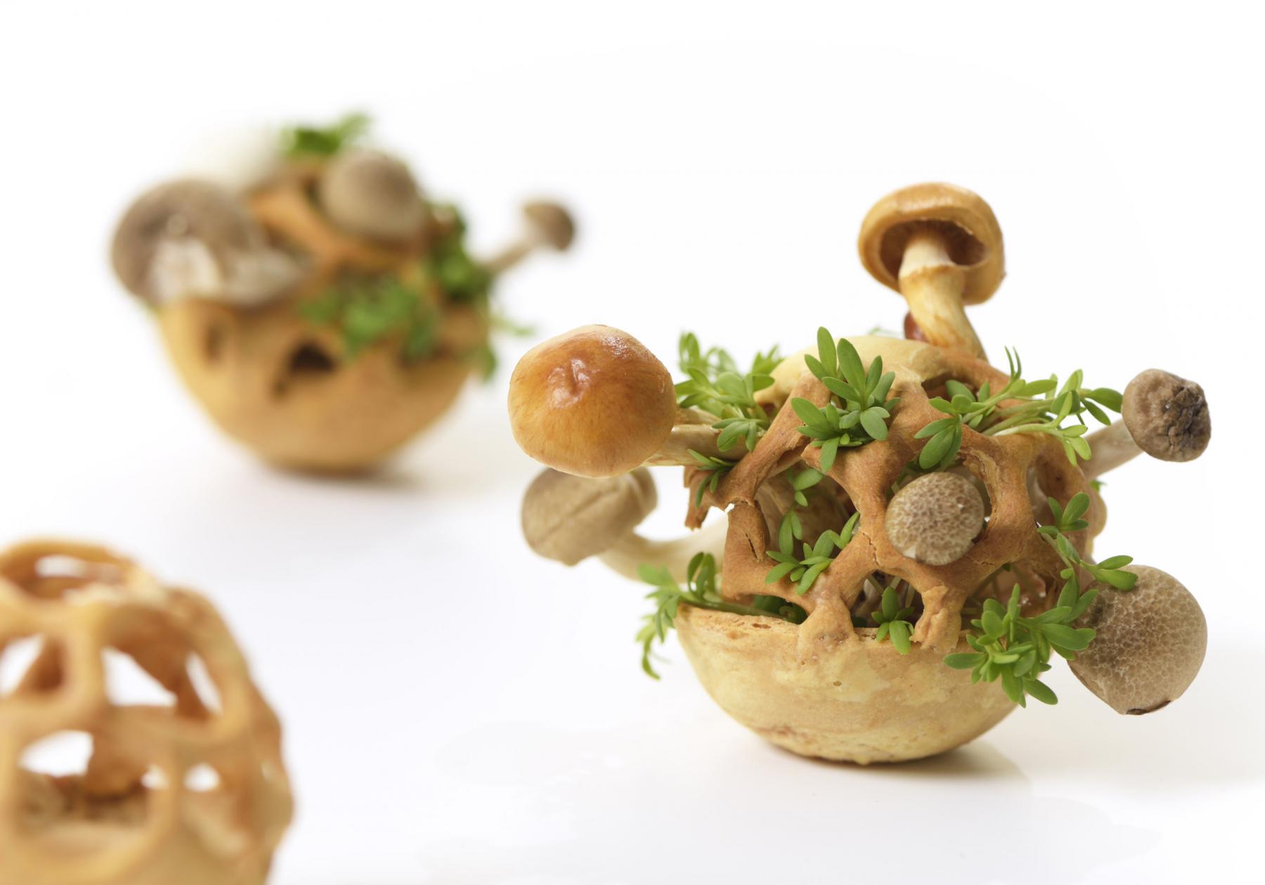 <span class='credits'>© Bart van Overbeeke</span>