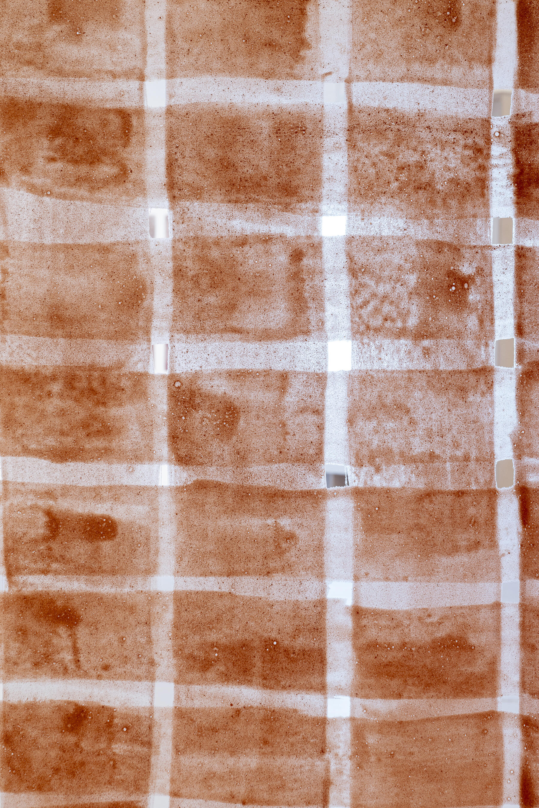 <span class='credits'>© Caroline Dethier</span>