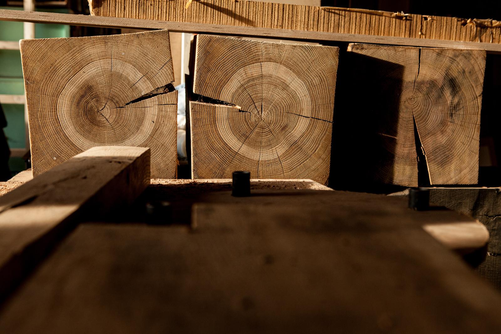 <span class='credits'>© Jo Magrean</span>