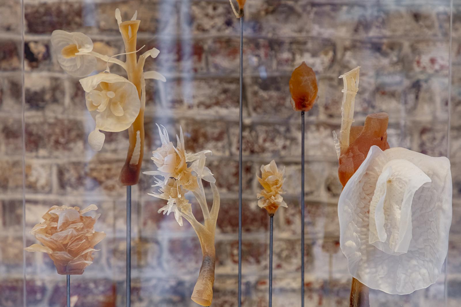 <span class='credits'>© Tim Van de Velde</span>