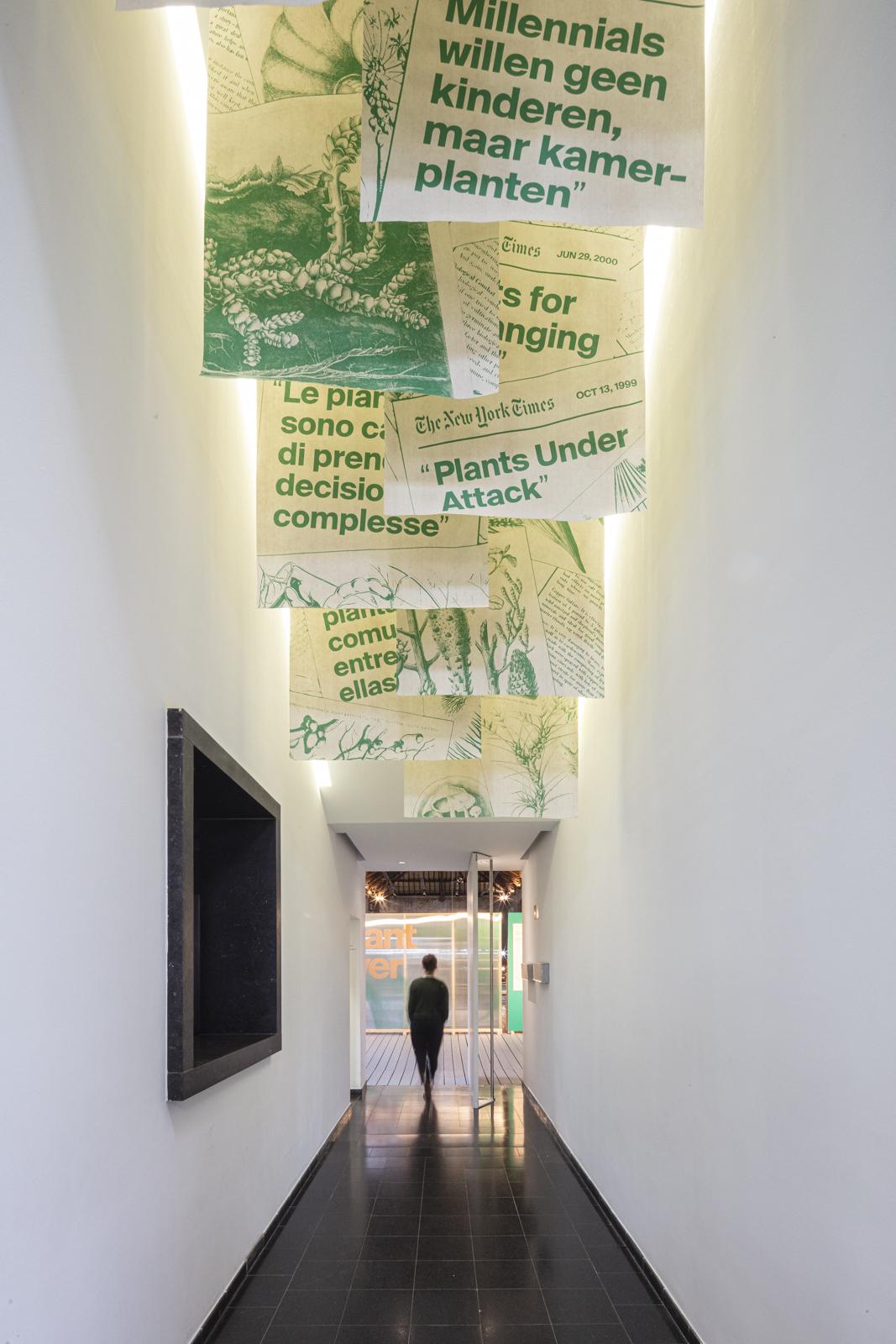 <span class='credits'>© Tim Van de Velde</span>