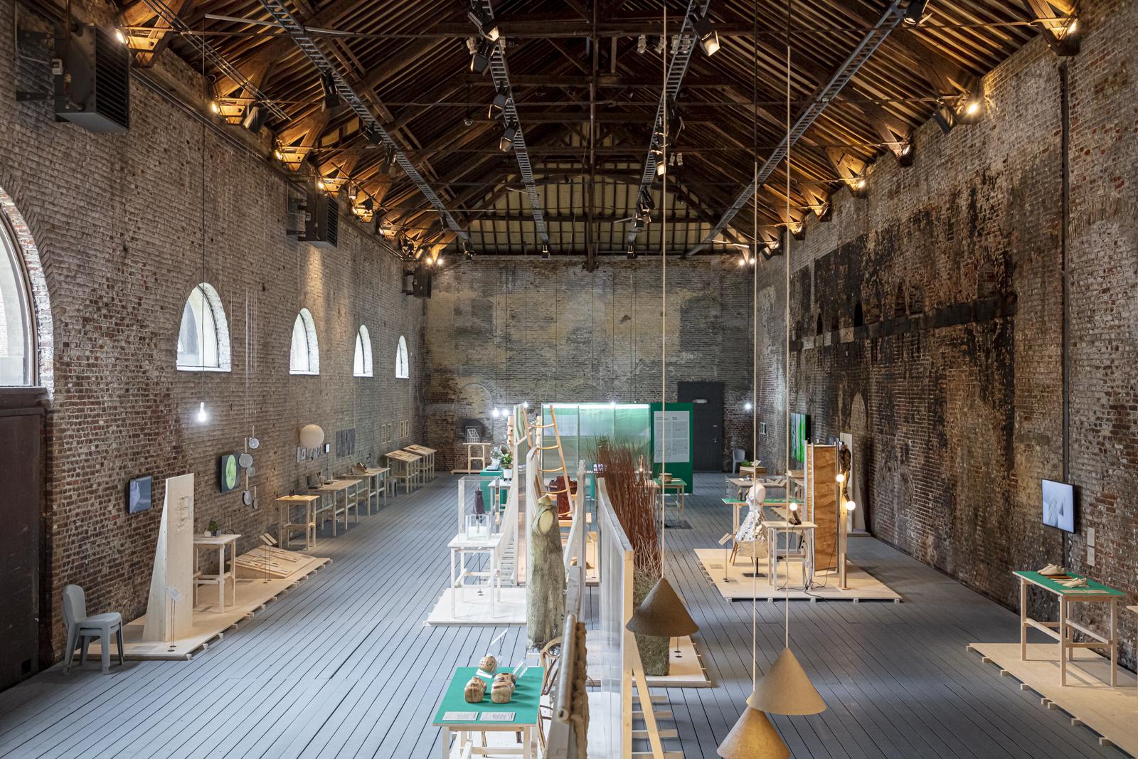 <span class='credits'>© Tim Van de Velde</span>