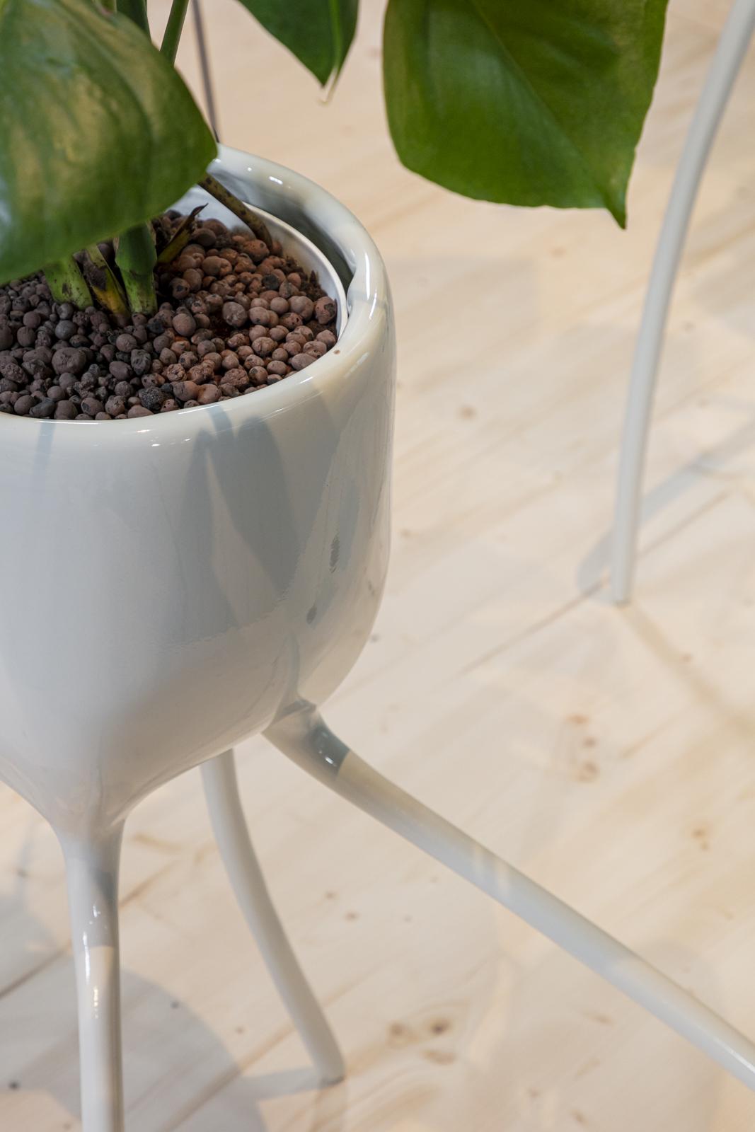 <span class='credits'>© Tim Van de Velde</span>