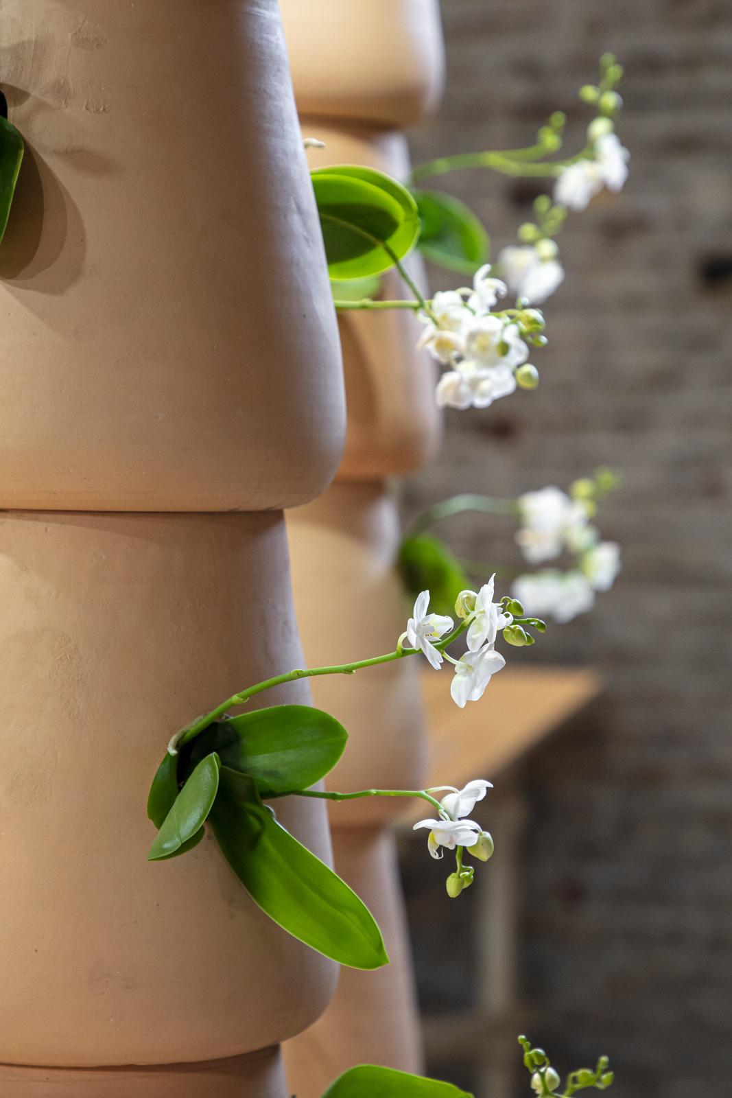 <span class='credits'>© Tim Van de Velde</span>